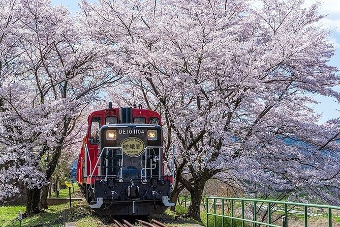 Kyoto Sagano Romantic Train With Cherry Blossoms Bus Tour - Cancellation and Refund Policy