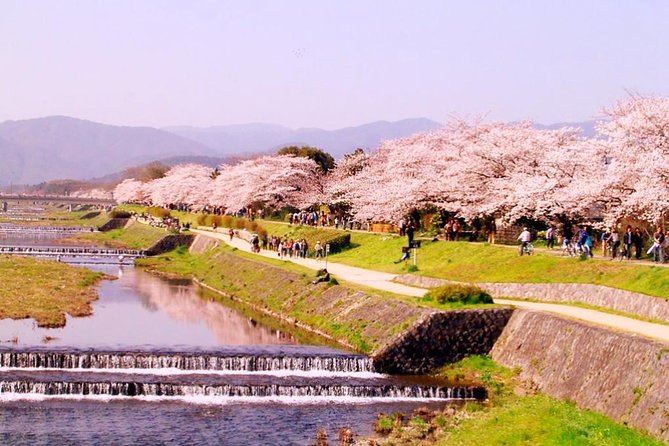 Kyoto Spring Evening (Cherry Blossom) Food Tour - Meeting and End Points