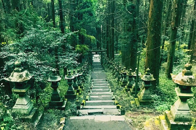Kyushu Day Trip Miyazaki Takachiho Gorge and Shrine From Fukuoka - Inclusions and Amenities of the Tour