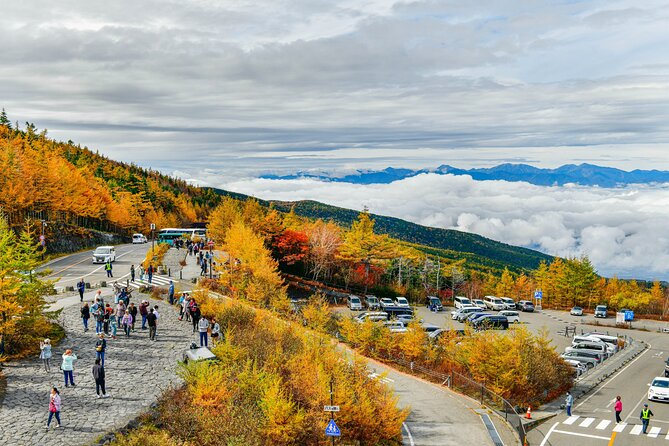 Mount Fuji Customizable Private Tour From Tokyo - Tour Logistics