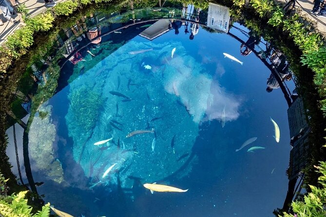 Mount Fuji Day Trip From Tokyo With Scenic Views - Customer Feedback and Experiences