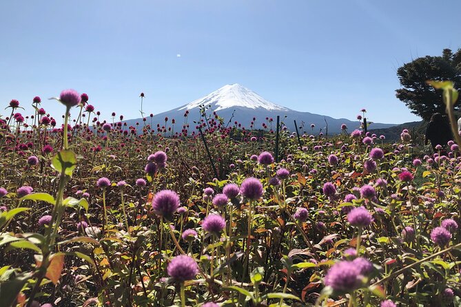 Mount Fuji Full Day Sightseeing Tour From Tokyo - Customer Complaints and Suggestions