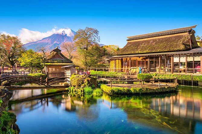 Mt Fuji Gotemba Outlet and Hot Springs Tour From Tokyo - Seasonal Itineraries and Attractions