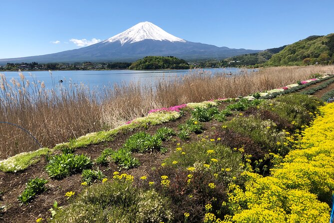 Mt.Fuji (Plus Gotemba)Tour , From/To Tokyo&Yokohama, 2- 12 Guests - Customized Experience and Private Tour