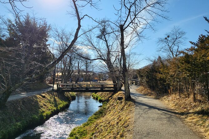 Mt. Fuji Private Car Tour From Tokyo - Tour Schedule