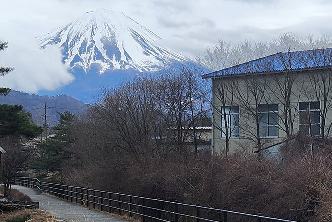 Mt Fuji Private Day Tour With English Speaking Driver - Reviews and Ratings of the Mt Fuji Tour