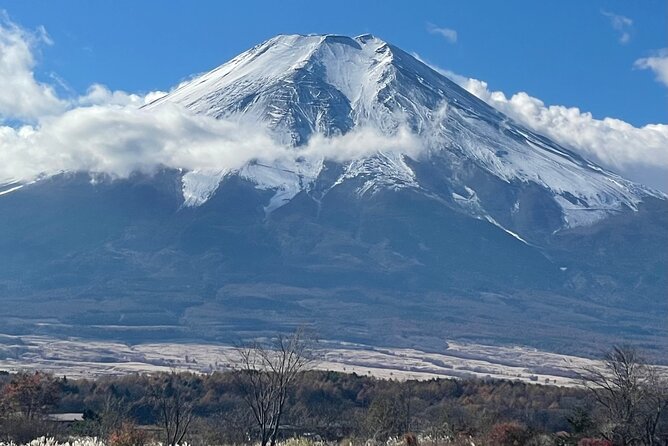 Mt Fuji Private Sightseeing Tour From Tokyo - Pickup Information