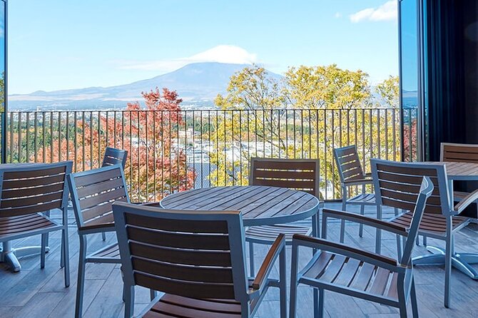 Mt. Fuji Tour in Lake Kawaguchi and Oshino Hakkai - Accessibility and Participation