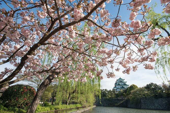 Nagoya Castle Cherry Blossom Festival and Tokugawaen Walking Tour - Participation and Logistics
