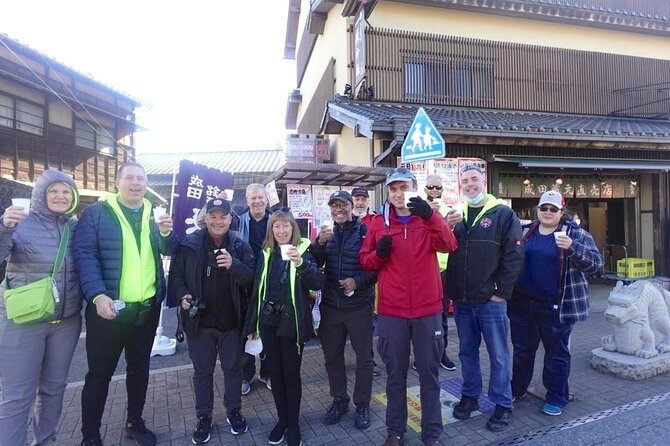 Narita Layover Tour With National Licensed Guide - Accessibility and Requirements