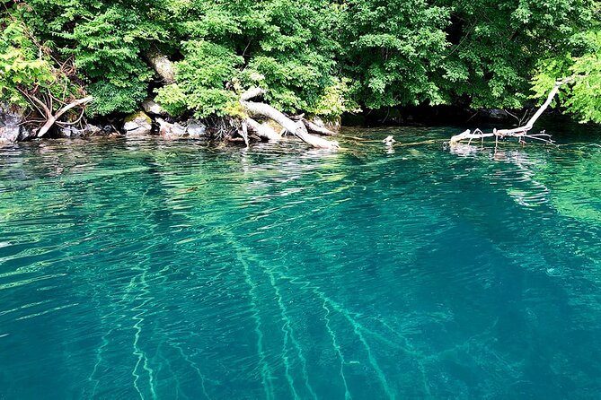 Oirase Gorge and Lake Towada Day Hike With Government-Licensed Guide - Booking Information