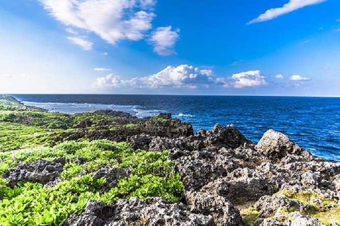 Okinawa Hip-hop Bus C Course Tour to Northern Island - Accessibility and Additional Information