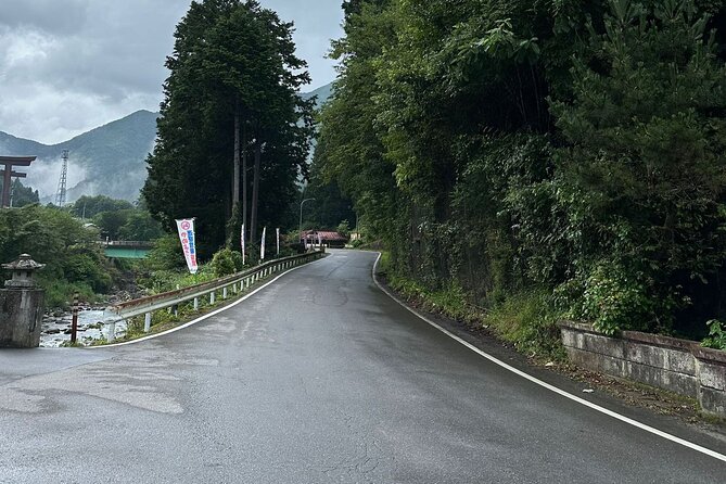 One Day Private Tour in Nikko From Tokyo - Accessibility