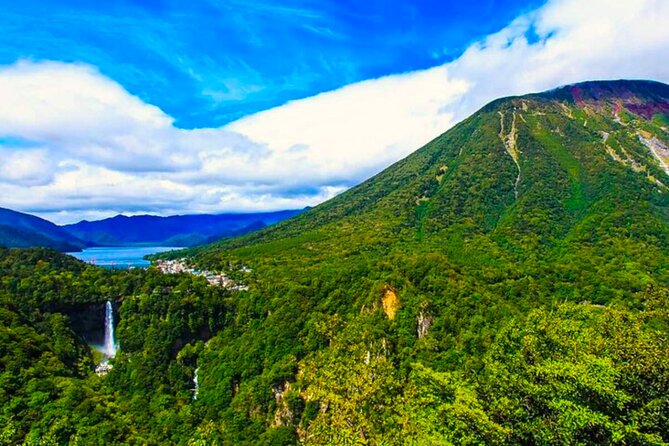 One Day Private Tour Nikko Tochigi by Car - Accessibility and Participation