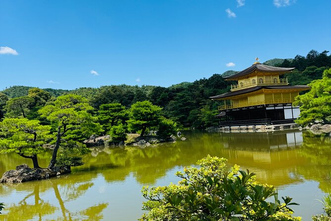 Osaka/Kyoto and Nara Private Tour With English Speaking Guide - Customer Feedback