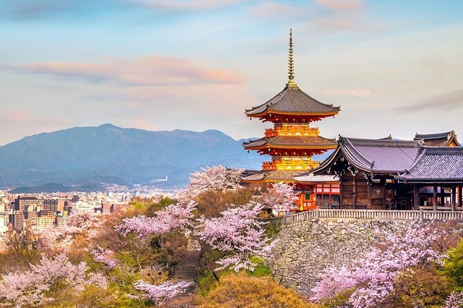 Osaka & Kyoto & Nara Top Hightlights English Speaking Tour - Inclusions and Exclusions