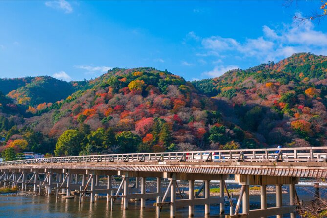 Osaka, Nara and Kyoto Day Trip With English Speaking Driver - Itinerary Highlights