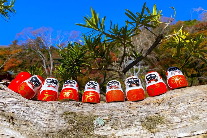 Osakas Secret Adventures: Daruma Magic and Minoh Falls - Considerations for the Tour