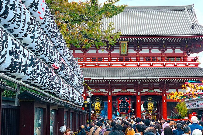 Private 1-Day Tokyo City Tour With English Speaking Driver - Accessibility and Participation