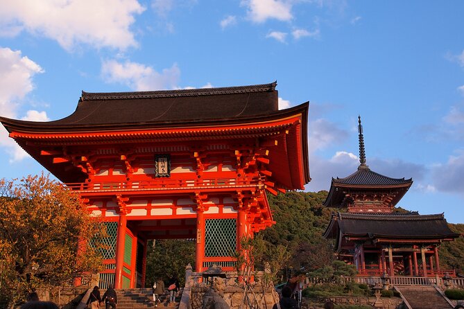 Private Airport Transfer Kansai Intl. Airport(KIX) to OSAKA CITY - Vehicle and Comfort