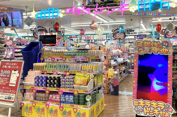 Private Car Tour for Tokyo Shopping - Accessibility Features