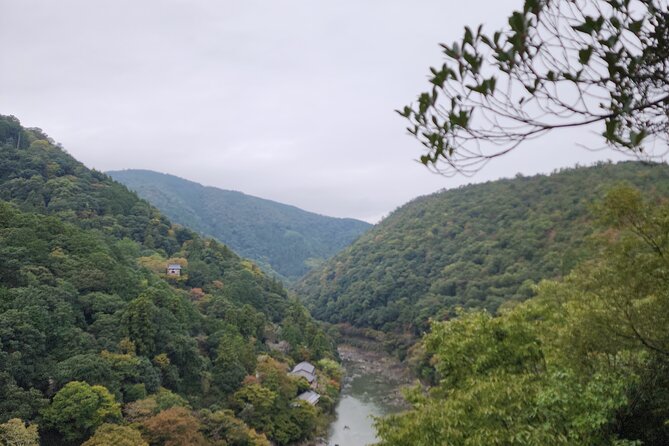 Private Customizable Tour in Kyoto - Customizing Your Kyoto Experience