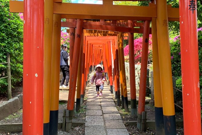 Private Home Visit Style Tour in Yanaka With Local Experience - Accessibility and Requirements