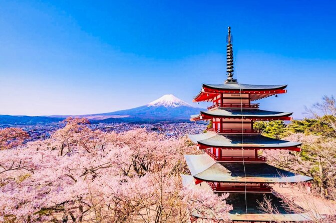 Private Sightseeing to Mt Fuji and Hakone With English Driver - Flexibility and Cancellation Policy