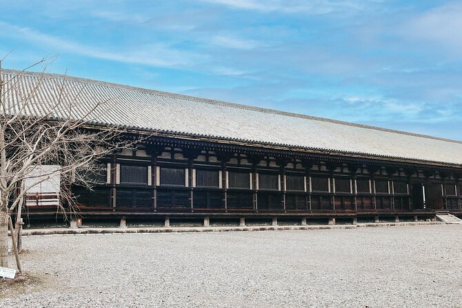Private Sightseeing Tour to Kyoto - Tenryuji Temple