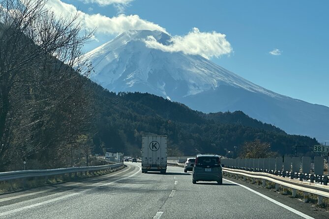 Private Tour to Mt Fuji and Hakone With English Speaking Driver - Accessibility and Participation