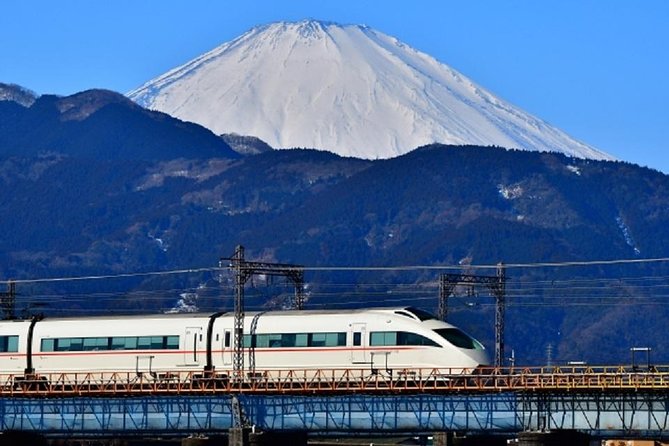 Private Walking Tour of Hakone. Price per Group - Tour Details