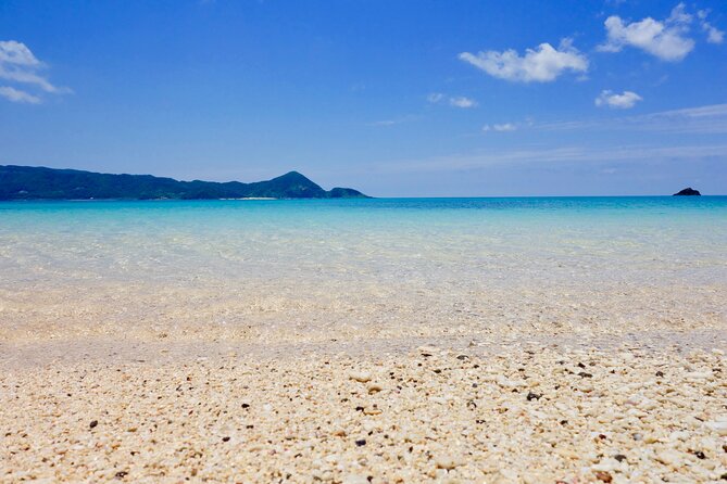 Snorkeling With Sea Turtles - Snorkeling Equipment Provided