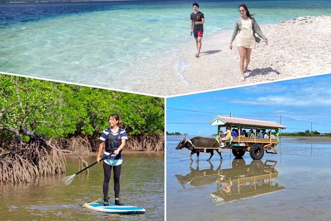 SUP/Canoe & Landing on Coral Island & Sightseeing in Yubujima - Encountering the Coral Island