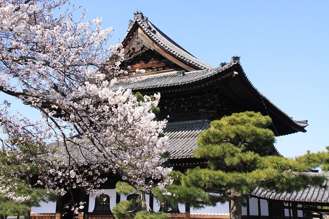 Tea Ceremony Experience & Nishiki Market Walking Tour - Health and Safety Considerations