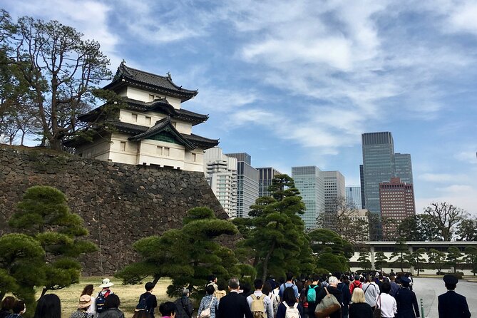 Tokyo City Private Tour up to 6 Persons - Accessibility