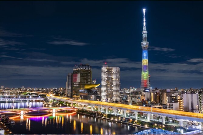 Tokyo City Tour by Private Car & English Guide - Accessibility Features