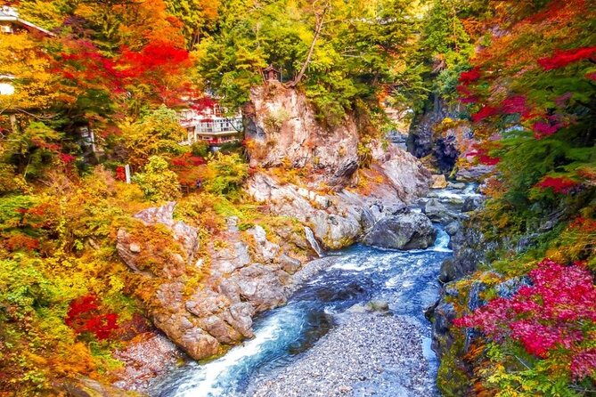 Tokyo Okutama Day Trip Tour - Health and Safety Guidelines