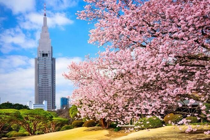 Tokyo Private Day Tour by Car With English Speaking Driver Guide - Accessibility Information
