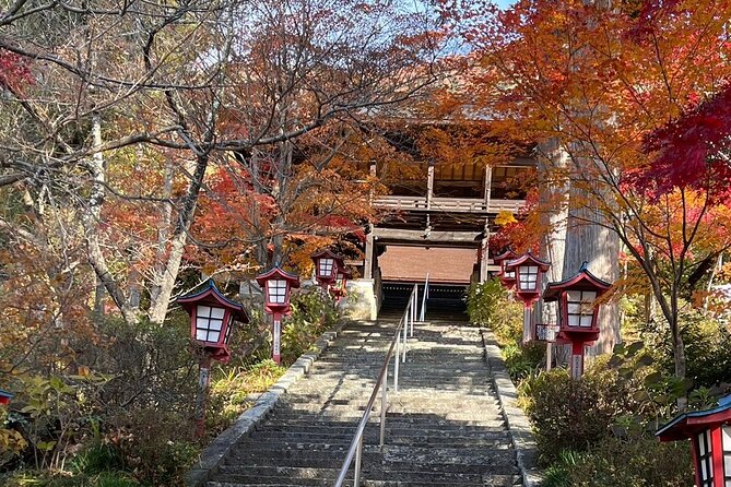 Train and Taxi Grape Temple and Winery Tour in Yamanashi - Inclusions