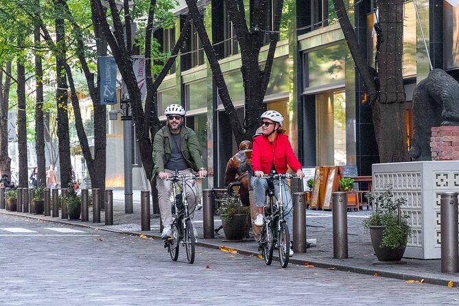 3hr Private E-Bike Cycling Tour in Tokyo, Starting at Your Hotel - Good To Know