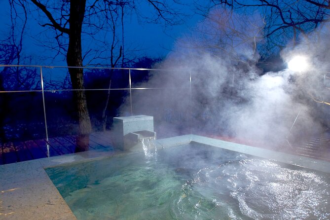 4-Day Luxury Tohoku Snow Retreat: Appreciate the Stillness - Embrace the Tranquility of Zen Practices