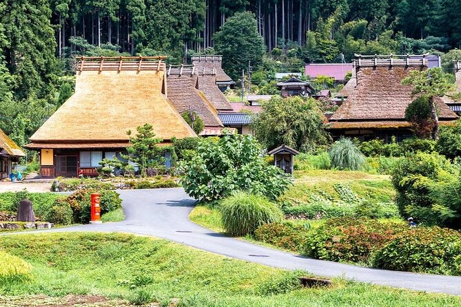 Amanohashidate, Ine Funaya & Miyam Village 1-Day Tour From Osaka - Tour Conditions and Policies