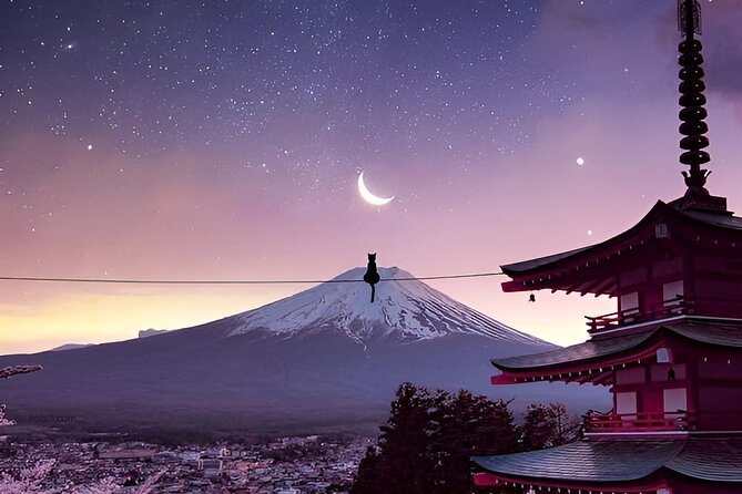 Beyond the Ordinary: Private Mount Fuji & Cherry Blossom Tour - Savoring the Local Cuisine