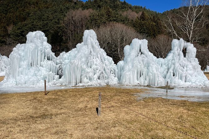 Customisable Mt.Fuji Private Day Trip, English Speaking Driver - Customer Experience and Feedback