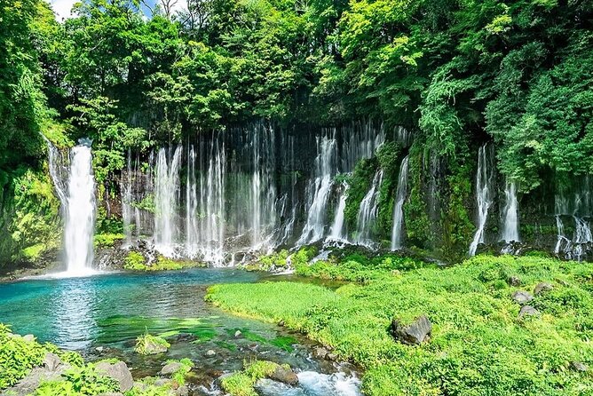 Customizable Private Tour in Mt Fuji From Tokyo by Car or Van - Booking Details