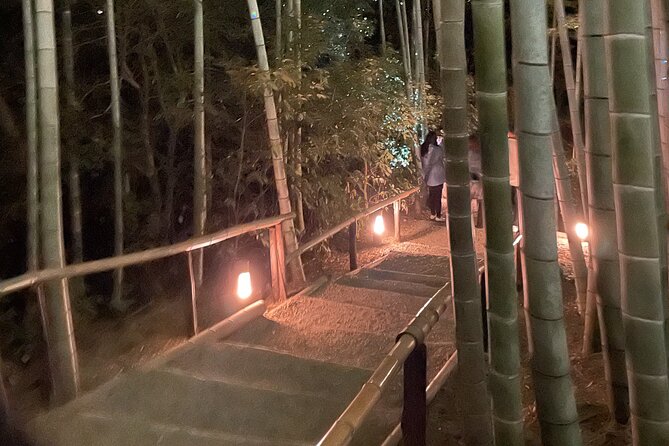 Discover Kyoto at Night by Bike - Capturing Kyotos Ethereal Beauty After Dark