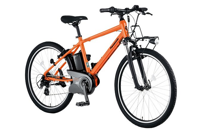 E-bike Rental in Okutama, Tokyo - Health and Safety Considerations