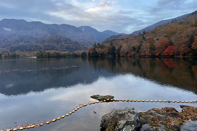 English-Speaking Guided Day Tour of Nikko With a Private Vehicle - Positive Customer Experiences