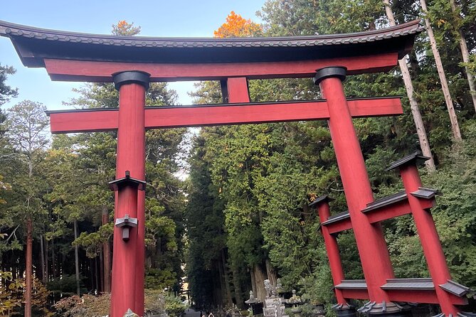 English-speaking Guided Tour:Mount Fuji & Hakone, Private Vehicle - Pricing and Cancellation Policy