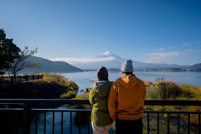 From Tokyo: Mt Fuji and Hakone Private Day Trip - Relaxing in the Serene Hakone Ropeway